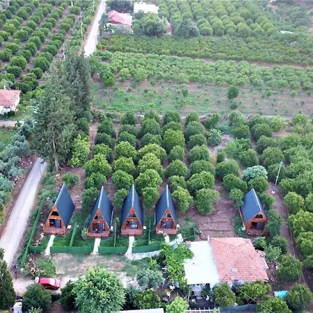 Отель Asi Garden Evleri *